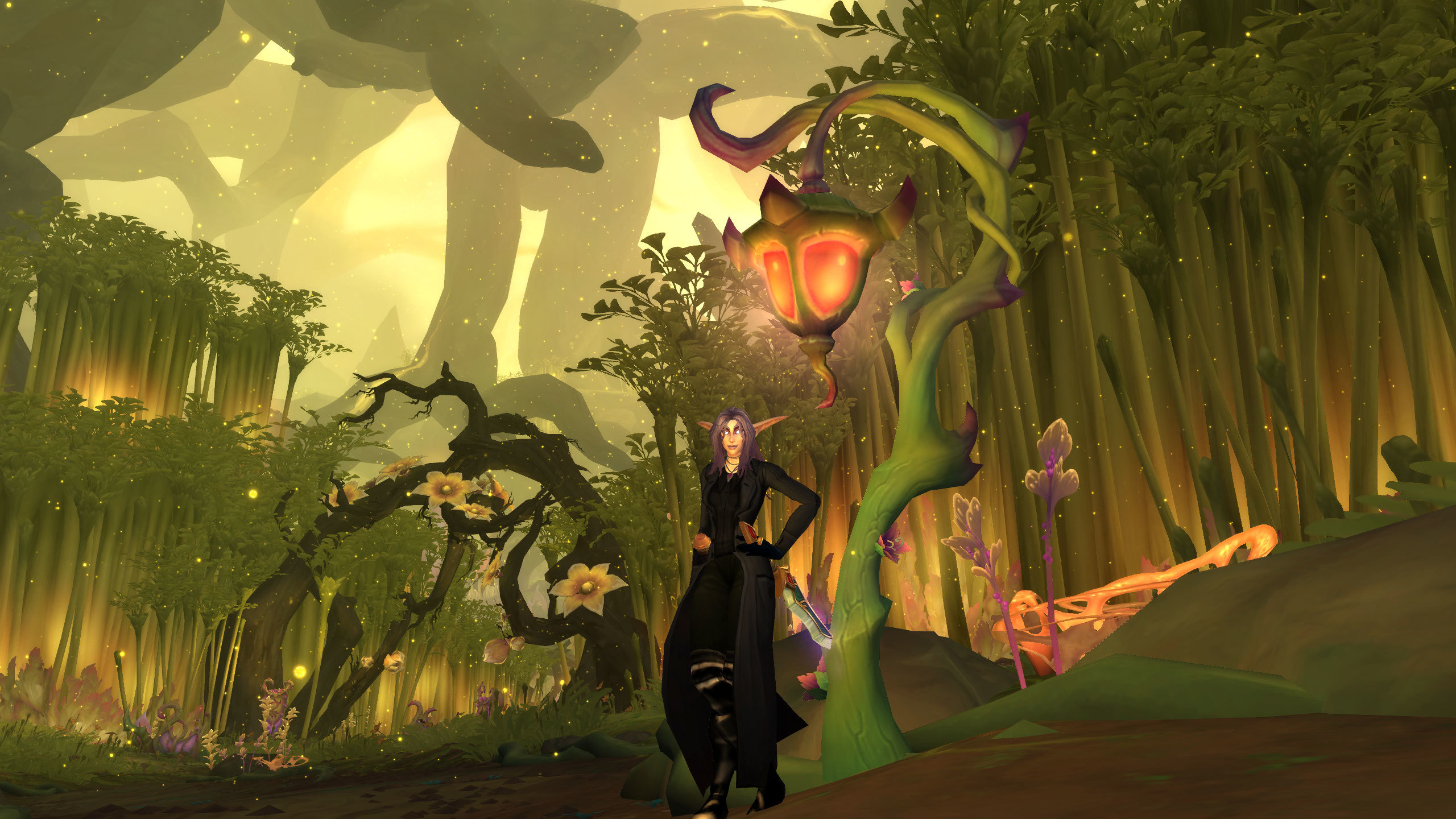 How to Successfully Complete the Warlock Green Fire Questline at the Appropriate Level